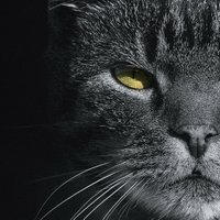 Luis r. M. (@luisjos84248768) 's Twitter Profile