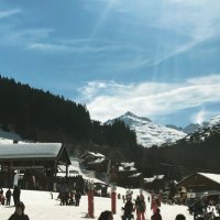 themac49 (@themac49) 's Twitter Profile