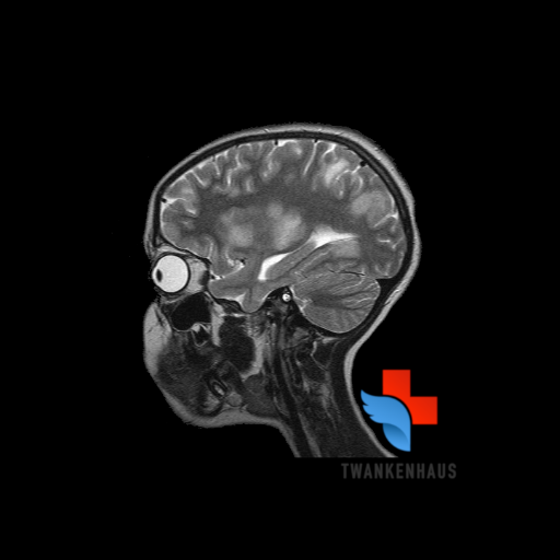 Pediatric_ICU's profile picture. Kinderarzt / päd. Intensivmedizin. Doc einer päd. Intensivstation
#FOAM