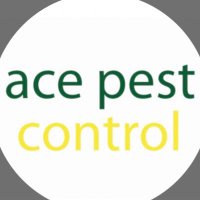 ACE PEST CONTROL - NORFOLK(@acepest1) 's Twitter Profile Photo