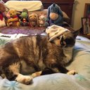 Carla Andersen - @CarlaAndersen10 - Twitter