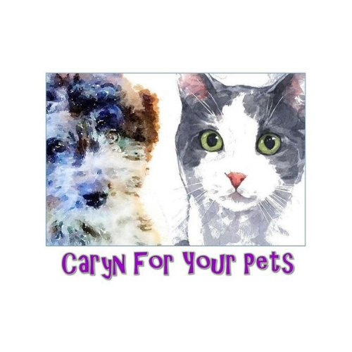 We are here to provide inspiration, and information about the coolest trends in pet supplies! Visit our website today to browse for your new pet gear!