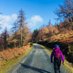 Scenic Irish Walks (@scenicwalks) Twitter profile photo Scenic Irish Walks (@scenicwalks) Twitter profile photo