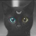 annoying kitten kawaii (@rr0r_r) Twitter profile photo annoying kitten kawaii (@rr0r_r) Twitter profile photo