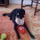 Bill Humbert - @gronk007 - Twitter