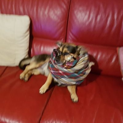 Lucky_Lucciano_'s profile picture. Dev