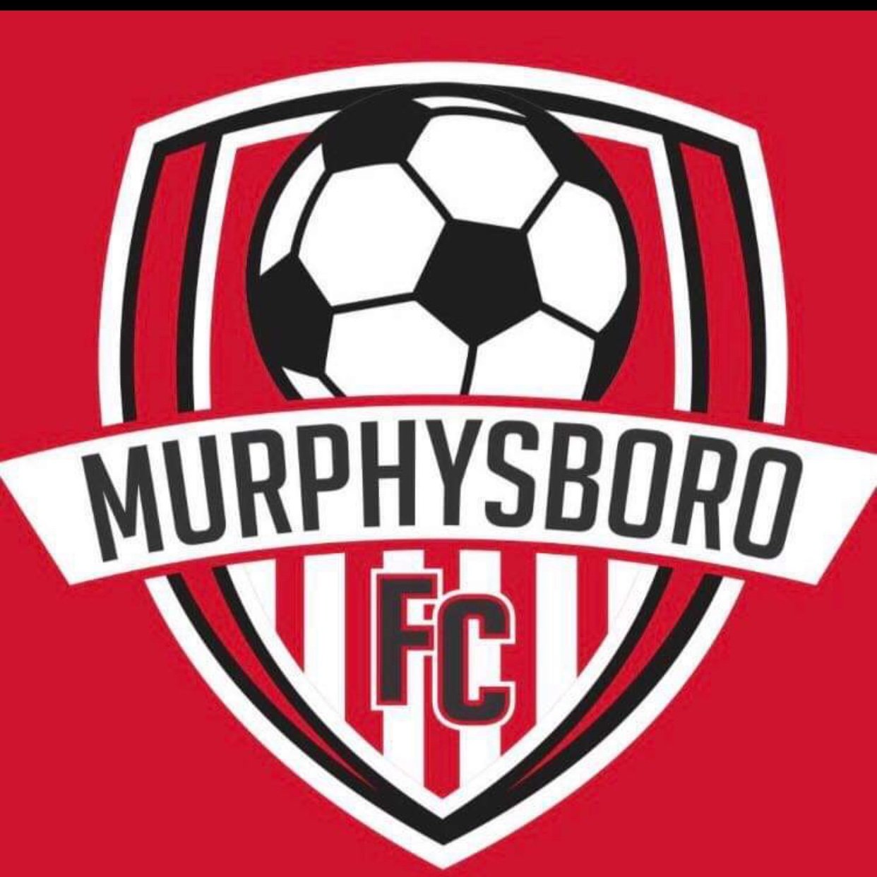 Providing youth soccer for Murphysboro and its neighbors