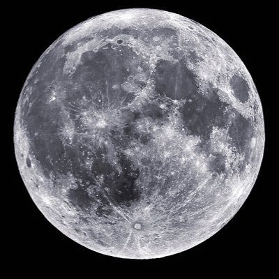 finnn333's profile picture. 