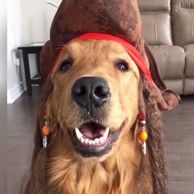 Zeds__Bread's profile picture. 🍞 💤 🎷