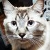 @El Bicho Raro (@efra1127) Twitter profile photo @El Bicho Raro (@efra1127) Twitter profile photo