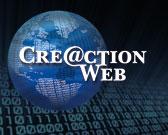 CreactionWeb's profile picture. 