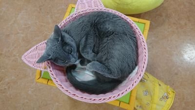 己冬さんのプロフィール画像