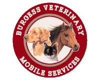 Integrative Veterinary services, that truly care.