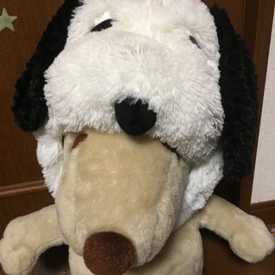 dokuhakio1's profile picture. ゆる～く、毒を吐きます。