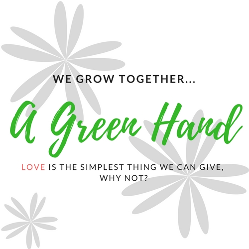 AGreenHand - A place for Gardeners and Homeowners.
A blog dedicated to provide gardening tips, home repairing guides, tools and equipment reviews.