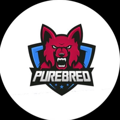 PurebredGG's profile picture. New Esports team. Stay tuned... #PureBread