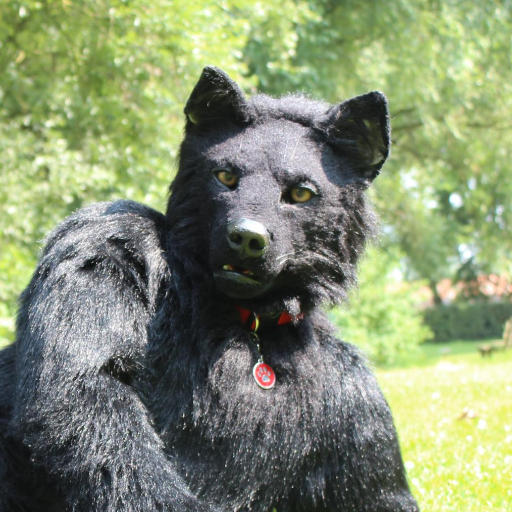 I speak 🇩🇪 🇳🇱 🇬🇧 / M / Black Wolf from: @CopperSprite
 / More fursuits: @witlupus - @Kitavos_DE & @Berrexter / NSFW ask me! / 💕@skipp_wolf💕