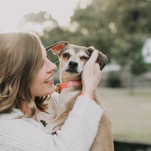 X8crJt's profile picture. 