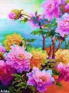 SexyBoy35078077's profile picture. sexy boy