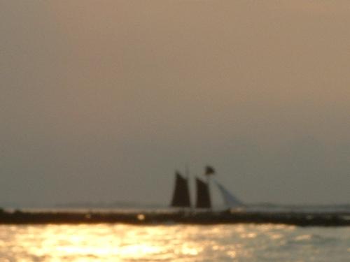 ForAdultADHD's profile picture. Learn to Handle Your ADHD & Get Your Life Back!