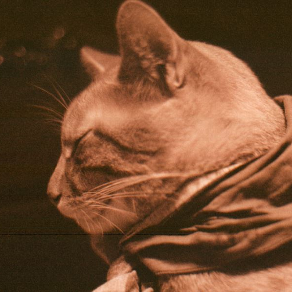 fujisan3b's profile picture. 兼業。本業はIT。ツイートはあくまでも独り言です。