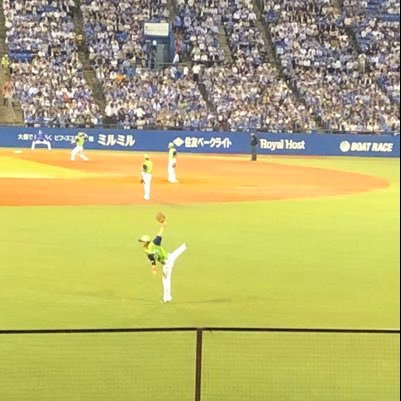 @y_swallows1976