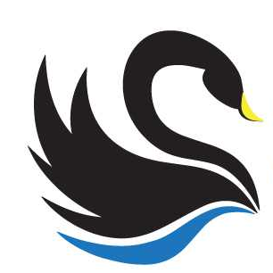 Swan Computer Brokers has over 25 years' experience of trading in the computer industry, its product base evolving over time to stay relevant.