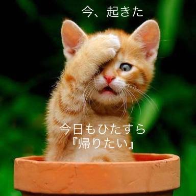 QneALLKtjSIJW0Q's profile picture. とりあえず暇してる