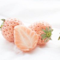 淡雪@IBS (@ibs57060891) 's Twitter Profile