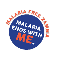 End Malaria Council Zambia (@endmalariazm) 's Twitter Profile