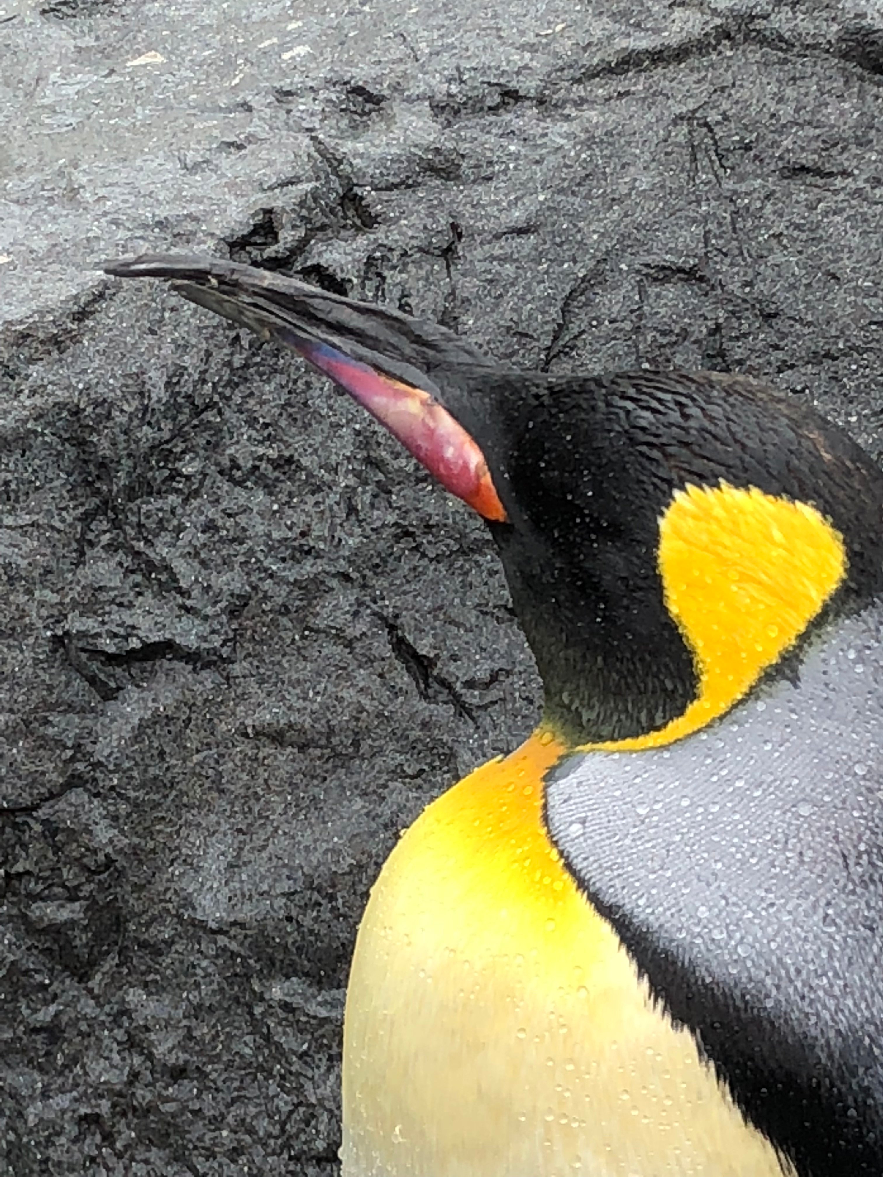 YokotaNaoyuki's profile picture. 日頃ダイエットのために筋トレに勤しんでる普通のサラリーマンです。 ゲーム漫画大好き！ 在宅ワークを始めました！気になる方は連絡ください♪