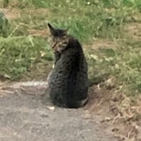 さっくん (@yi02cnrtjkyrltu) 's Twitter Profile