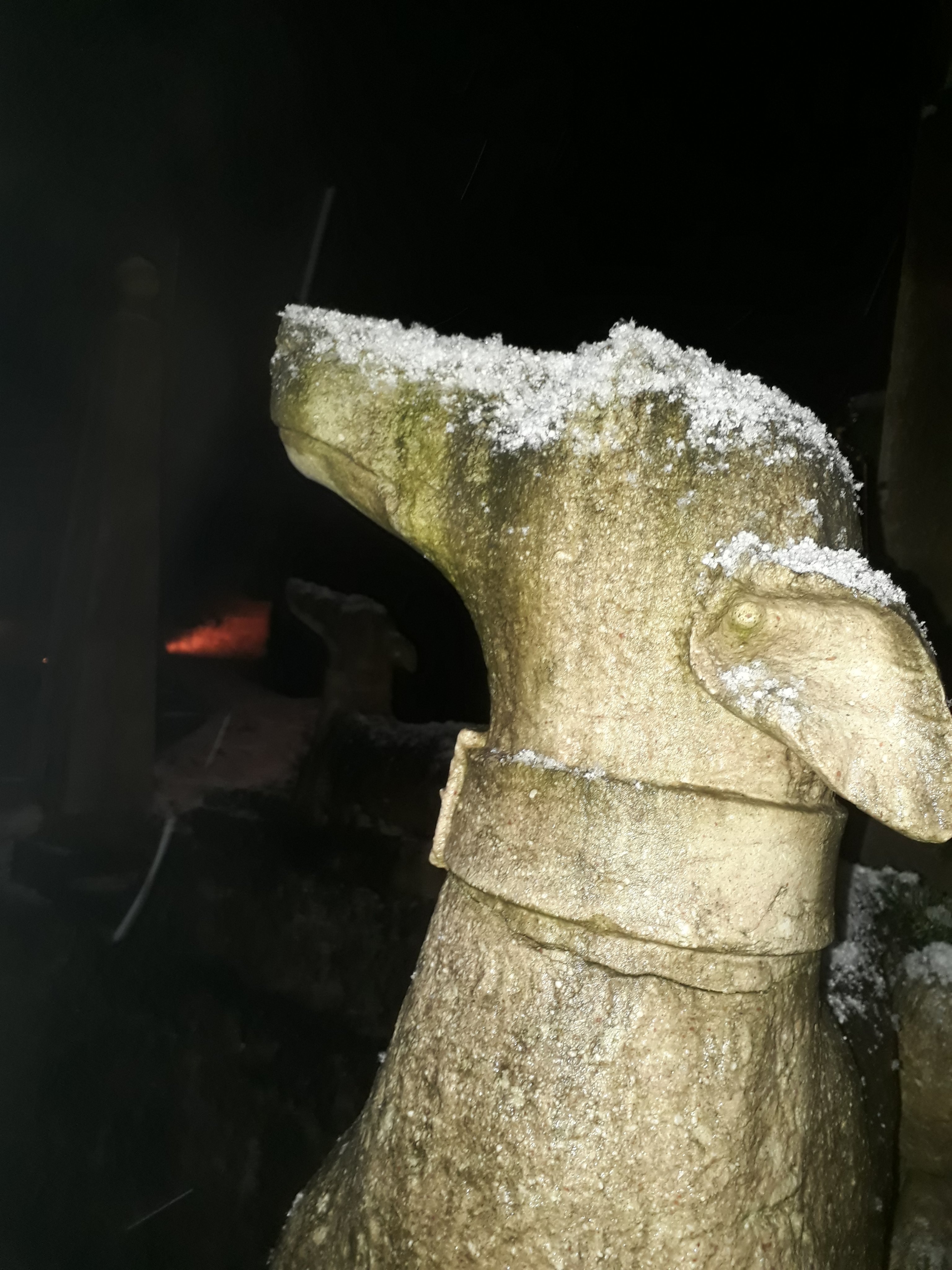 MLai97416876's profile picture. 