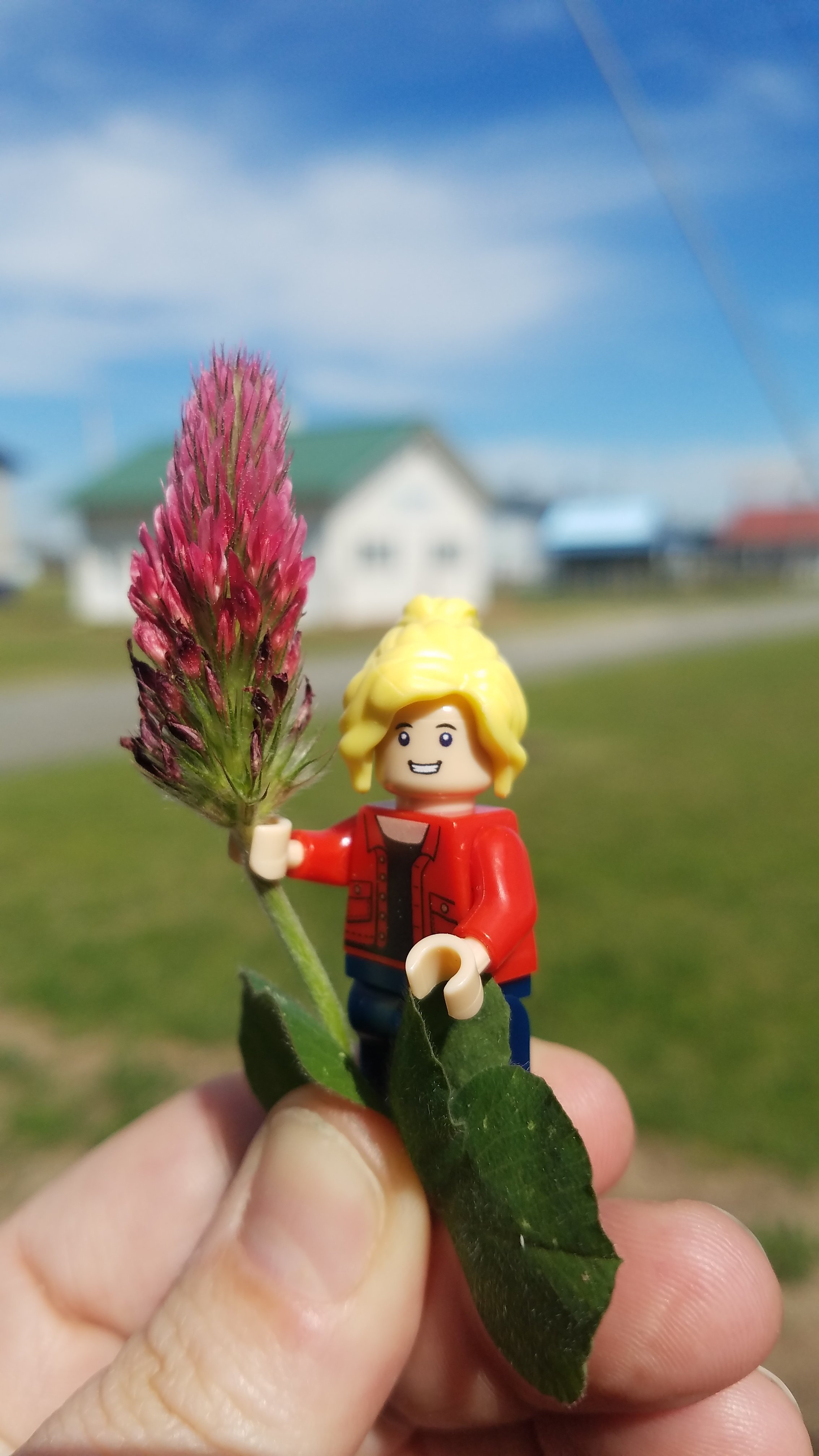 Follow Lego Forage Specialist on her adventures as a new assistant professor and UGA Extension Forage Specialist!