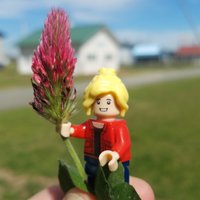 Lego Forage Specialist(@LegoForages) 's Twitter Profile Photo