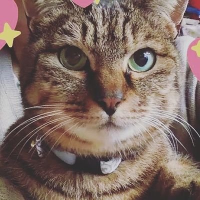 MHXXとMHWをメインでやっております🎵メインキャラが今はやっとHR100を越えました‼️サブがHR999でちと変わってますが~👏宜しくお願いいたします😊