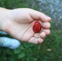 attachment parenting mama, blogger, writer, homeschooler, knitter, dreamer.