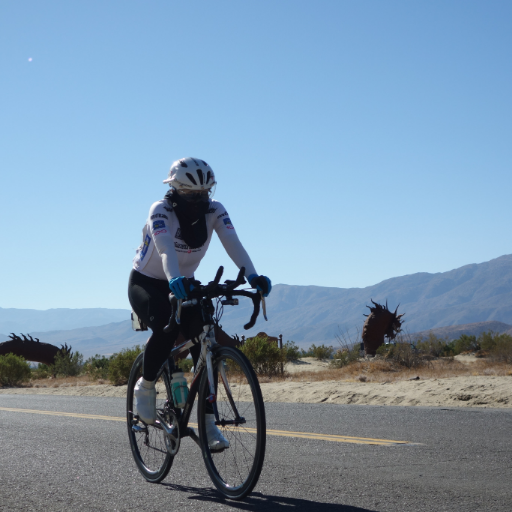 Team_Ozawa's profile picture. 2019 RAAM Women Solo #604 Chieko Ozawa