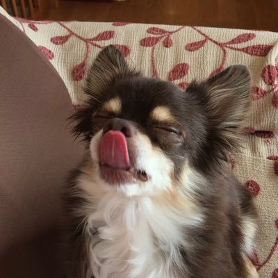 UPDRAFT_42's profile picture. Camera:Sony α7III/Nikon D5100 映像作っていきます。TouchDesignerで写真を使ったVJしてます。DJは趣味程度に