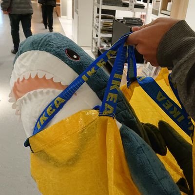 らかんちゃん (@rakanchan810) / X