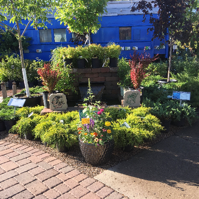 Lowes Garden Center On Twitter What A Beautiful Site We Have