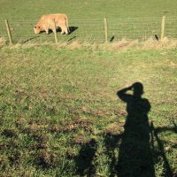 Imogen Ashby (@imogenkitashby) 's Twitter Profile Photo