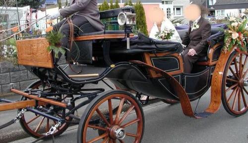 Attelage3Vallee's profile picture. Je suis prestataire de service dans les mariages en calèches. Vous pouvez visiter mon site internet. N'hésitez pas à me contacter pour plus de renseignements.