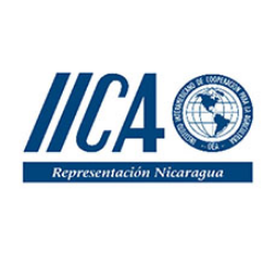 Representación del Instituto Interamericano de Cooperación para la Agricultura en Nicaragua. Organismo Especializado del Sistema Interamericano.