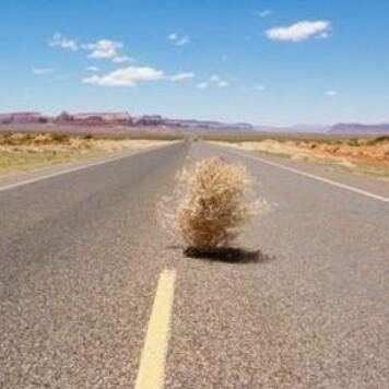 TumbleweedTC's profile picture. Professional track team based in Jacksonville, Florida |
Instagram: @ tumbleweed_track_club