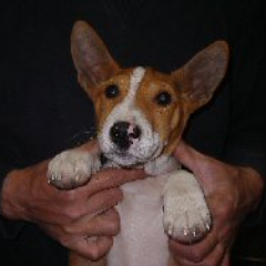 TakatomoUsui's profile picture. フリーで活動するルポルタージュ・フォトグラファー