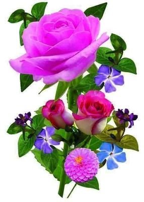 ImranAn22173634's profile picture. 