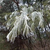 Reilley (Riley) (@reilley8820) 's Twitter Profile