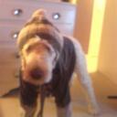 Scott Conlan - @InspiredByLiz - Twitter