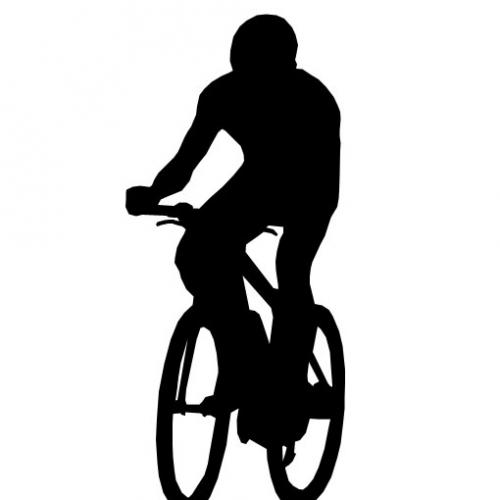 Mountainbike nieuws | MTB prijslijsten | Toertochten overzicht | Technische tips | Bike video's | En alles wat verder met mountainbiken te maken heeft